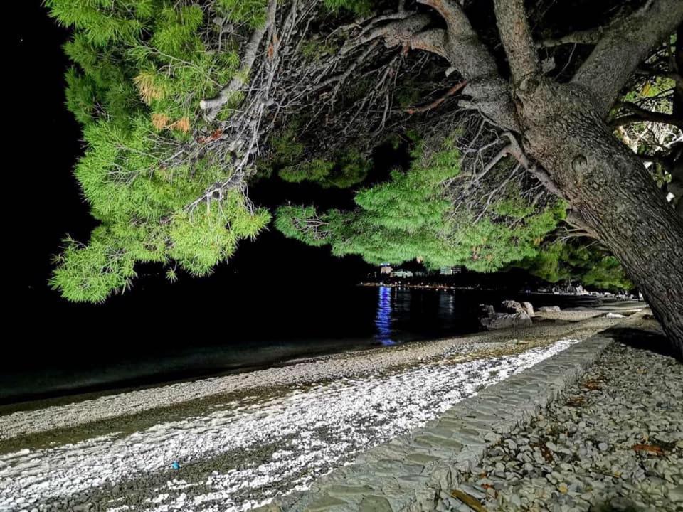 Villa Nora Tučepi Esterno foto