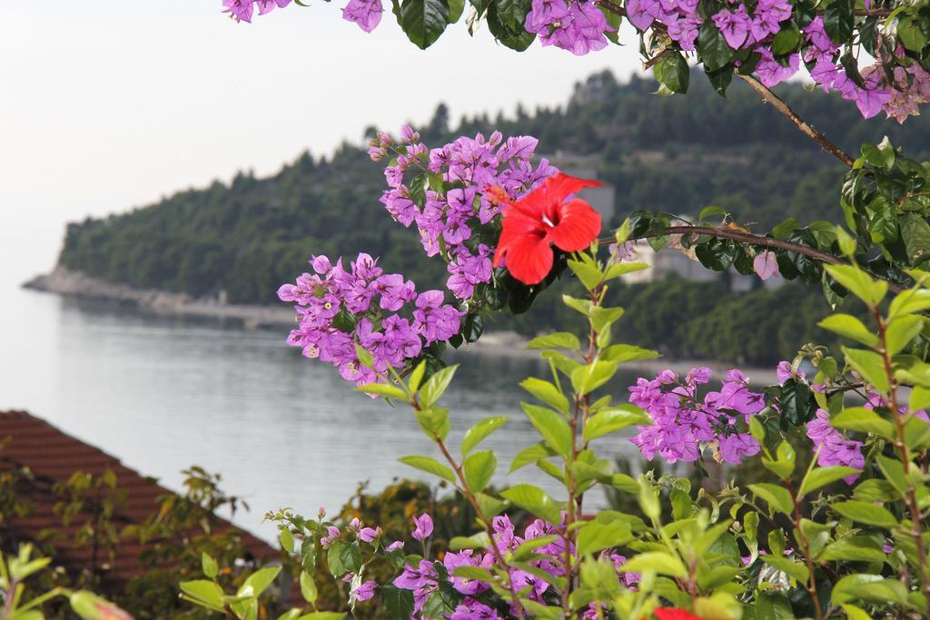 Villa Nora Tučepi Esterno foto